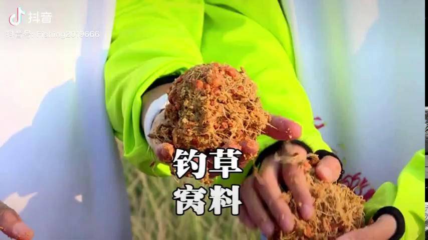玉米粉的使用小妙招钓草鱼特别好用钓鱼