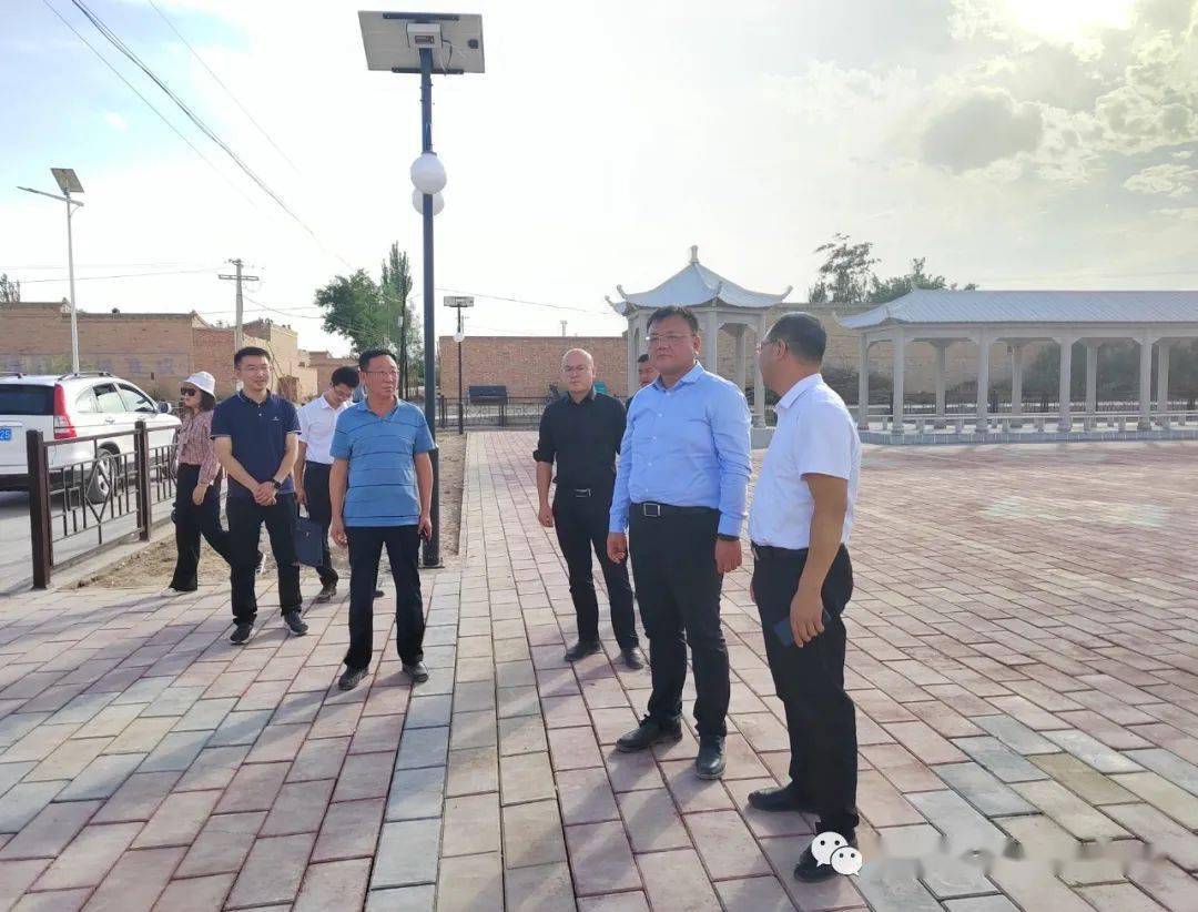 县委副书记,代县长许伟民深入五合镇调研重点工作开展情况