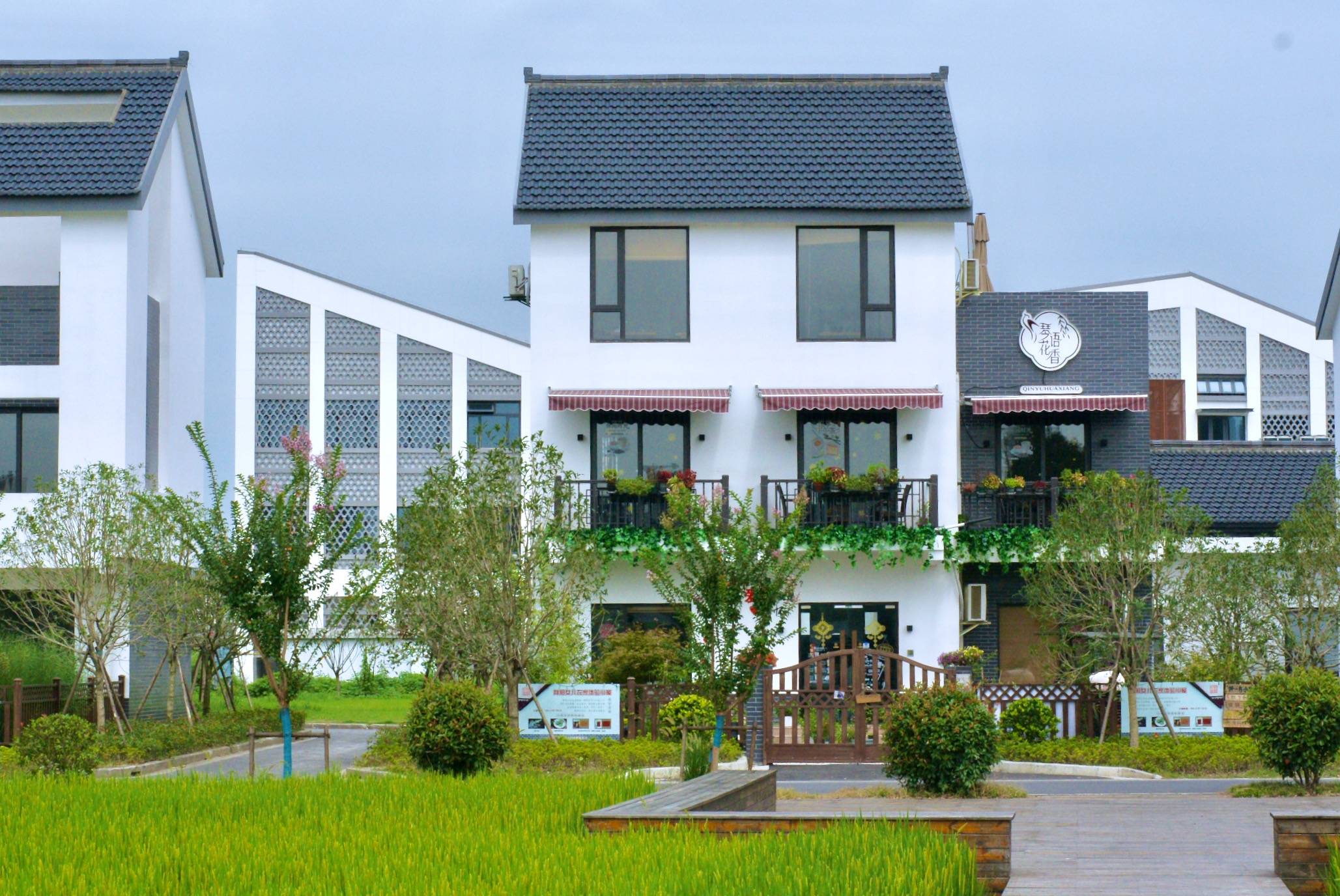 沪苏省界向阳村:除了亲切的村味,还有个摩登游客中心