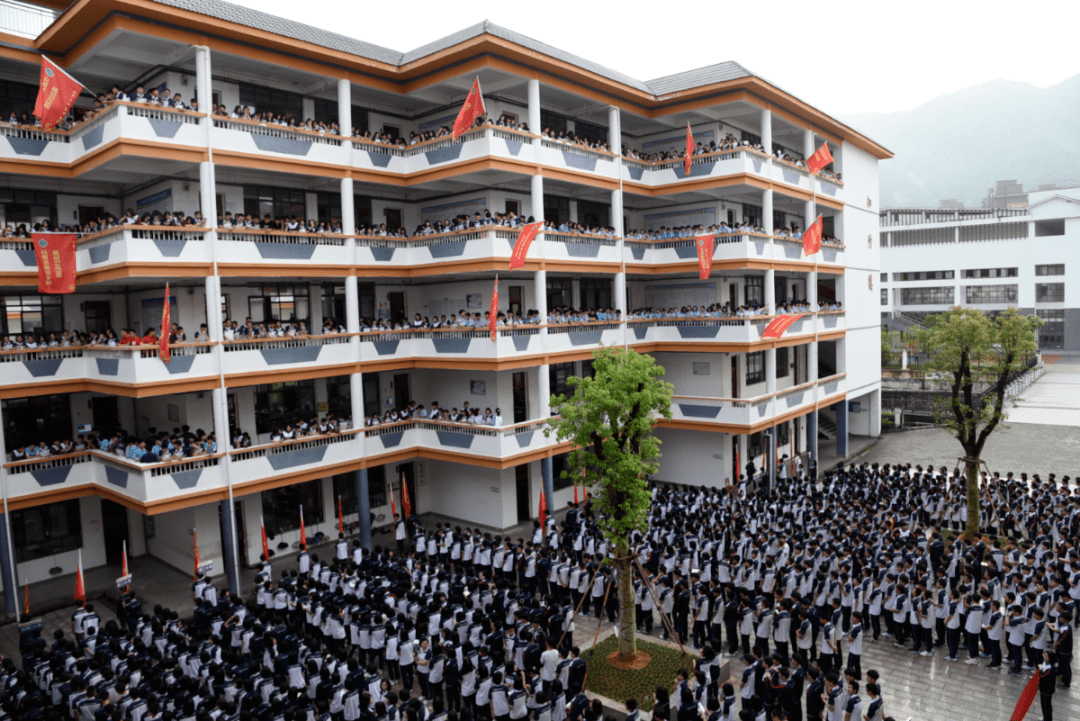 【致敬·教师节】栽好梧桐树,引得凤凰来——记崇义中学