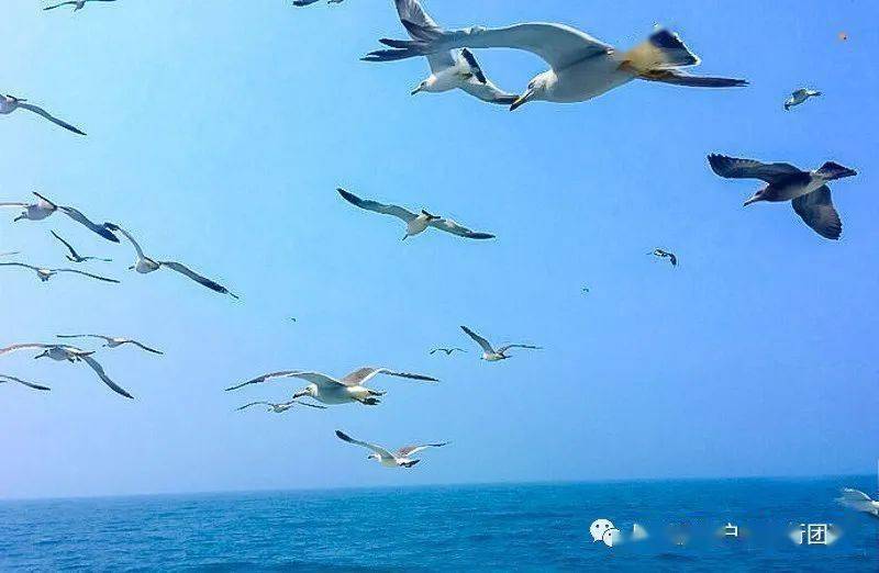 海鸥住工深度分析002084 76955cbaf6274a74b5e72ebf585a80bc.jpeg