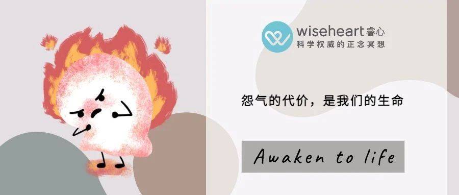 “怨怨相报”何时了？怨气的代价，是我们的生命（附练习计划）_南希