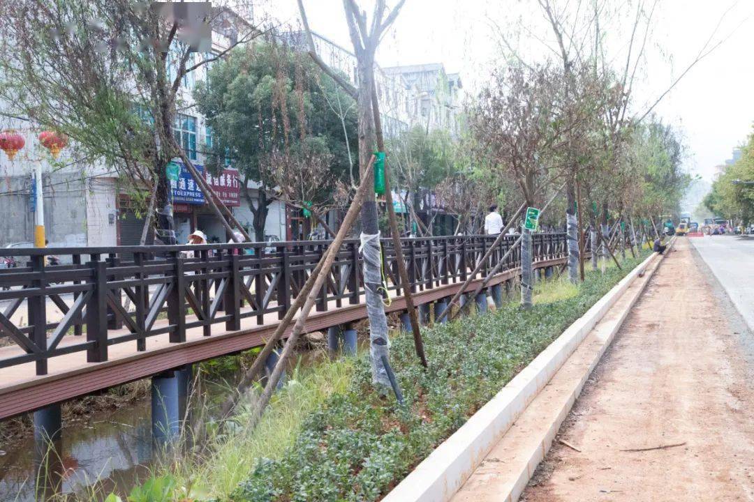 前半段围挡已拆!罗平西关街修建最新进展来了