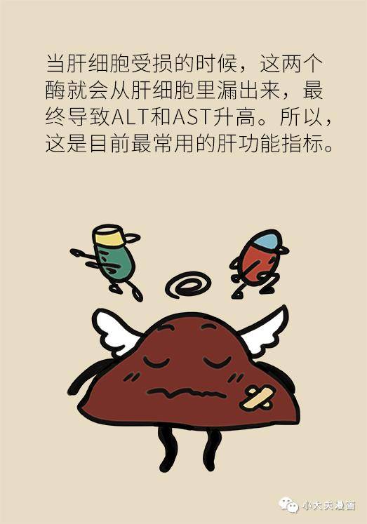 肝功能|肝功转氨酶高就是肝硬化？未必，这几个指标才是重点