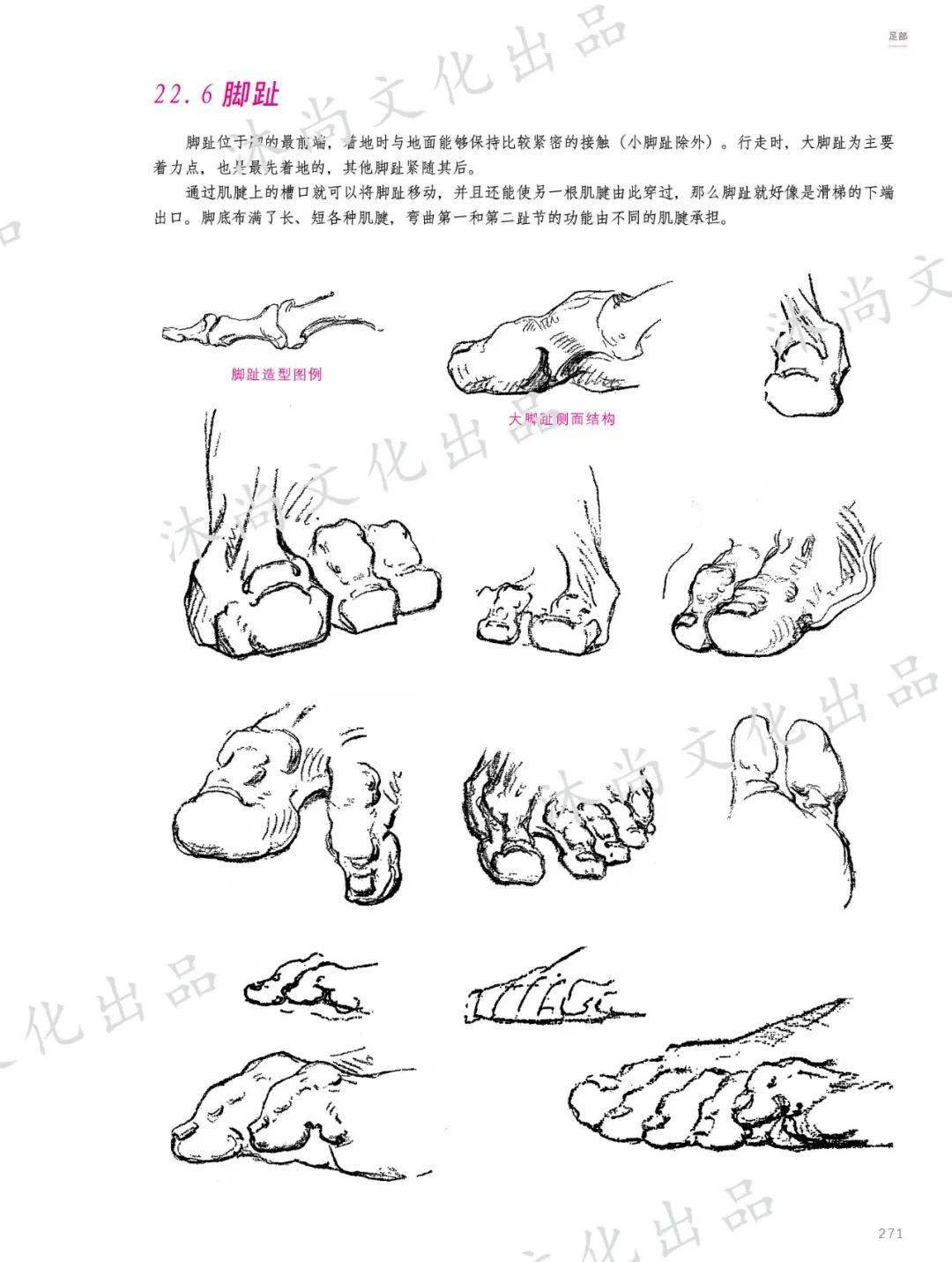 伯里曼画手pdf图片