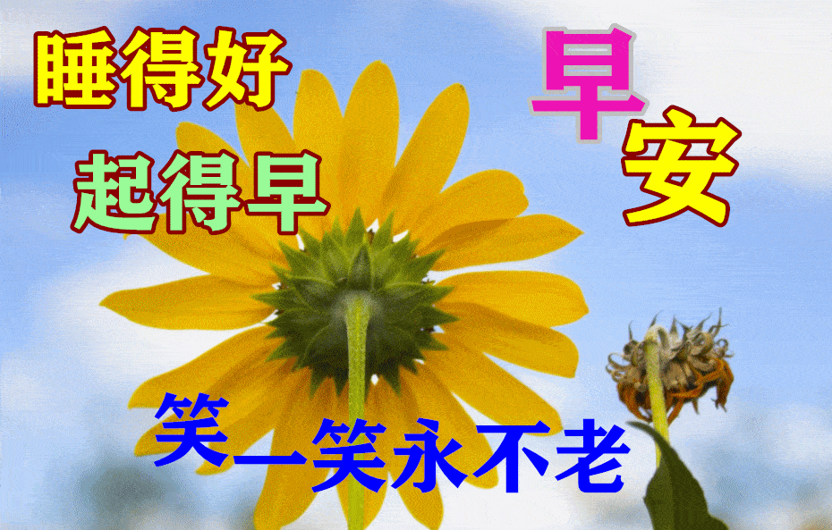 9月11日早上好动态表情图片及动图美图大全朋友是雨中的伞