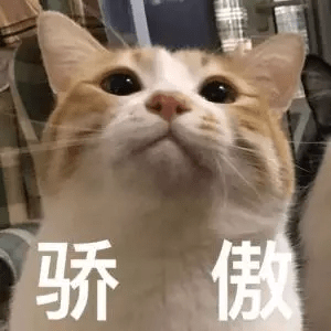 什么|教你从肺CT上分辨是哪种细菌感染丨肺炎克雷伯杆菌篇