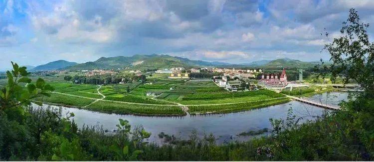 沂水县高庄镇紫薯种植休闲体验项目成功签约