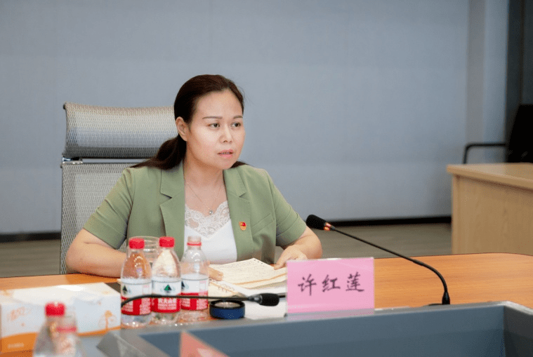 会后,海宁召开专题部署会,市委副书记,市长许红莲再次强调各镇街及各