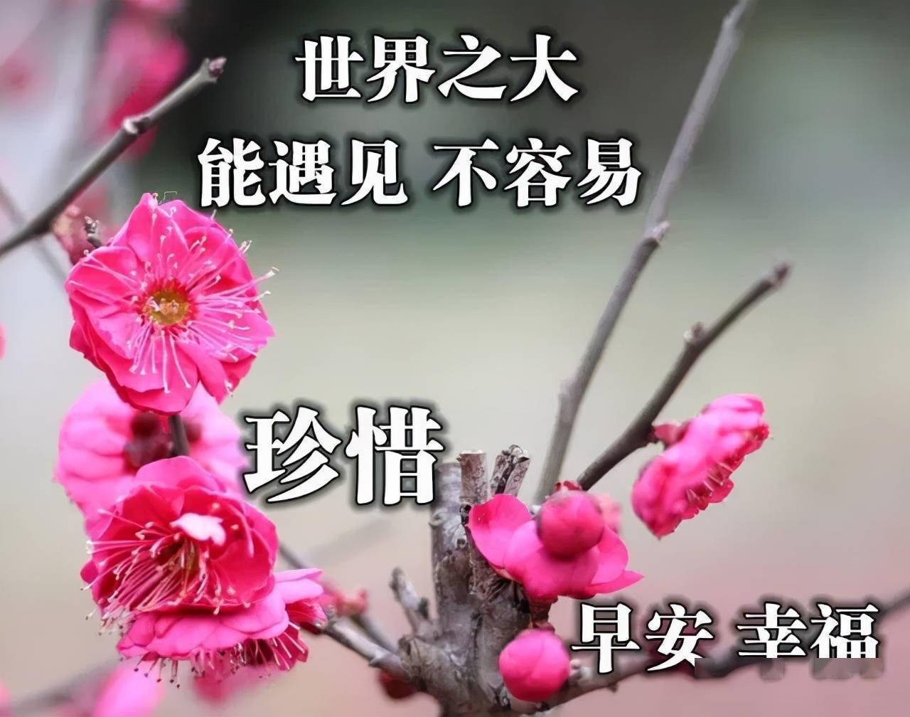 789ead6c98bf4bd680ccec786d576cf5.jpeg