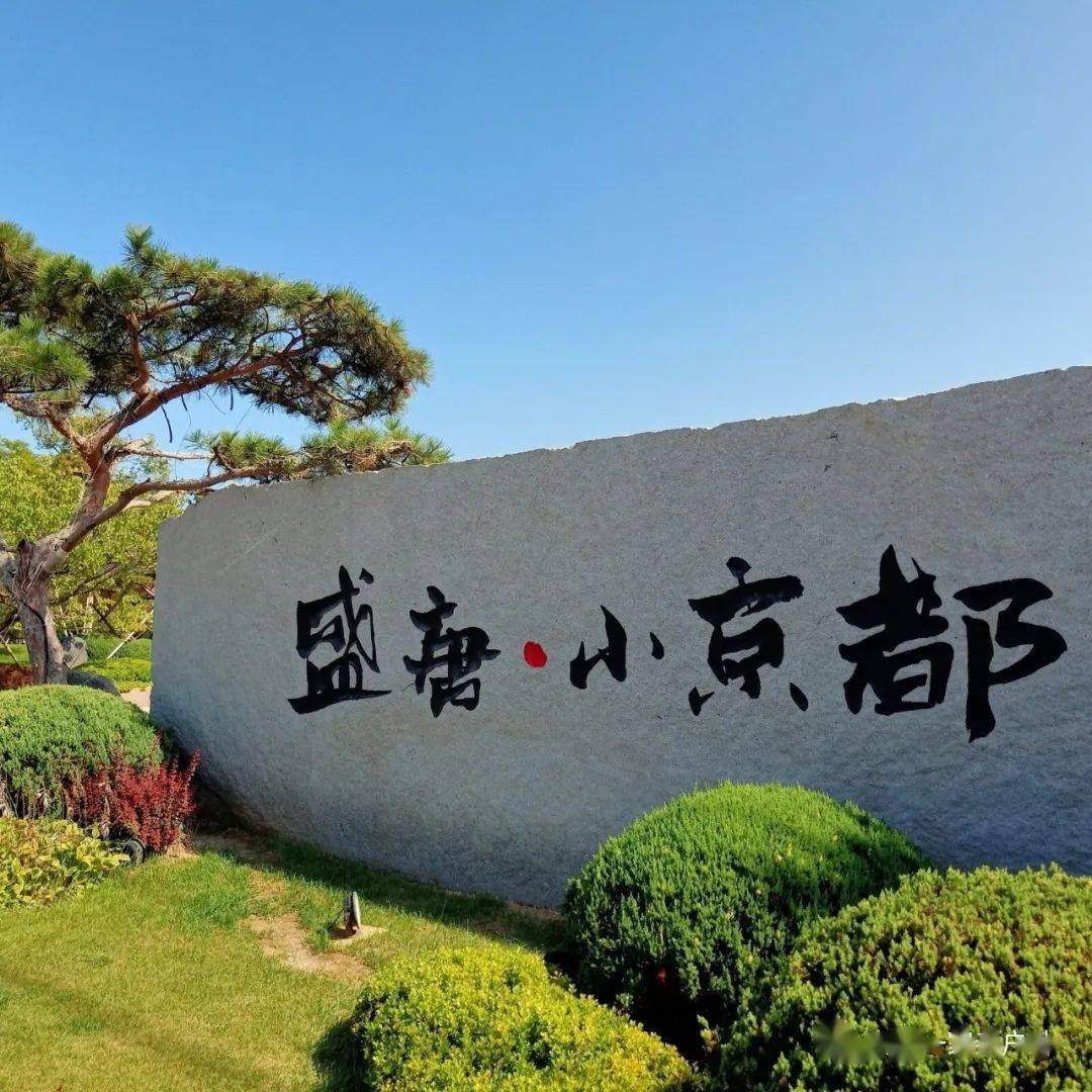 9月23日周四(独家线路)盛唐小京都 格桑花海 金石滩美拍摄影地1日游