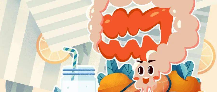 饮食|合理饮食“养”肠道