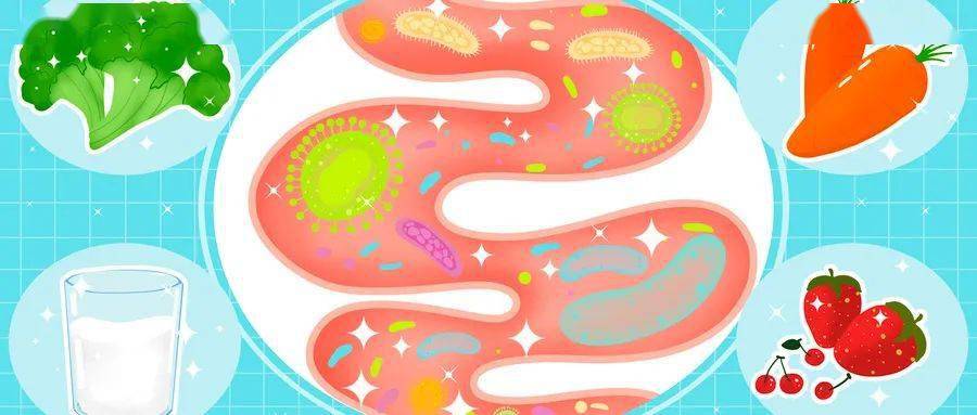 饮食|合理饮食“养”肠道