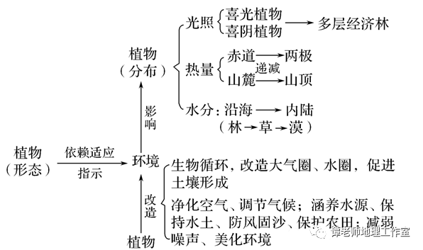 主要植被思维导图图片