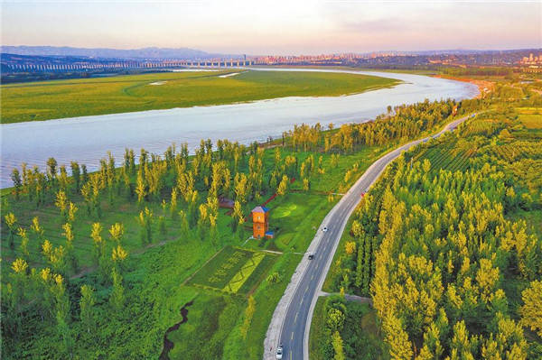 金秋时节,三门峡黄河百里生态廊道碧草青青,蜿蜒的道路沿黄而行,勾勒