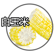 品质差的玉米能吃吗 77fc2855da314ece93f24464cac5f723.png