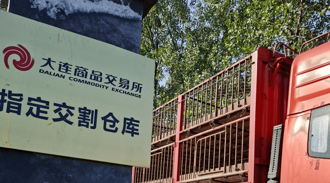 国金期货助力企业完成生猪期货首次交割