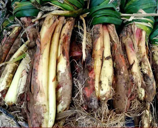 多年来,红葱的功效被人编成各种段子,在丰富人们