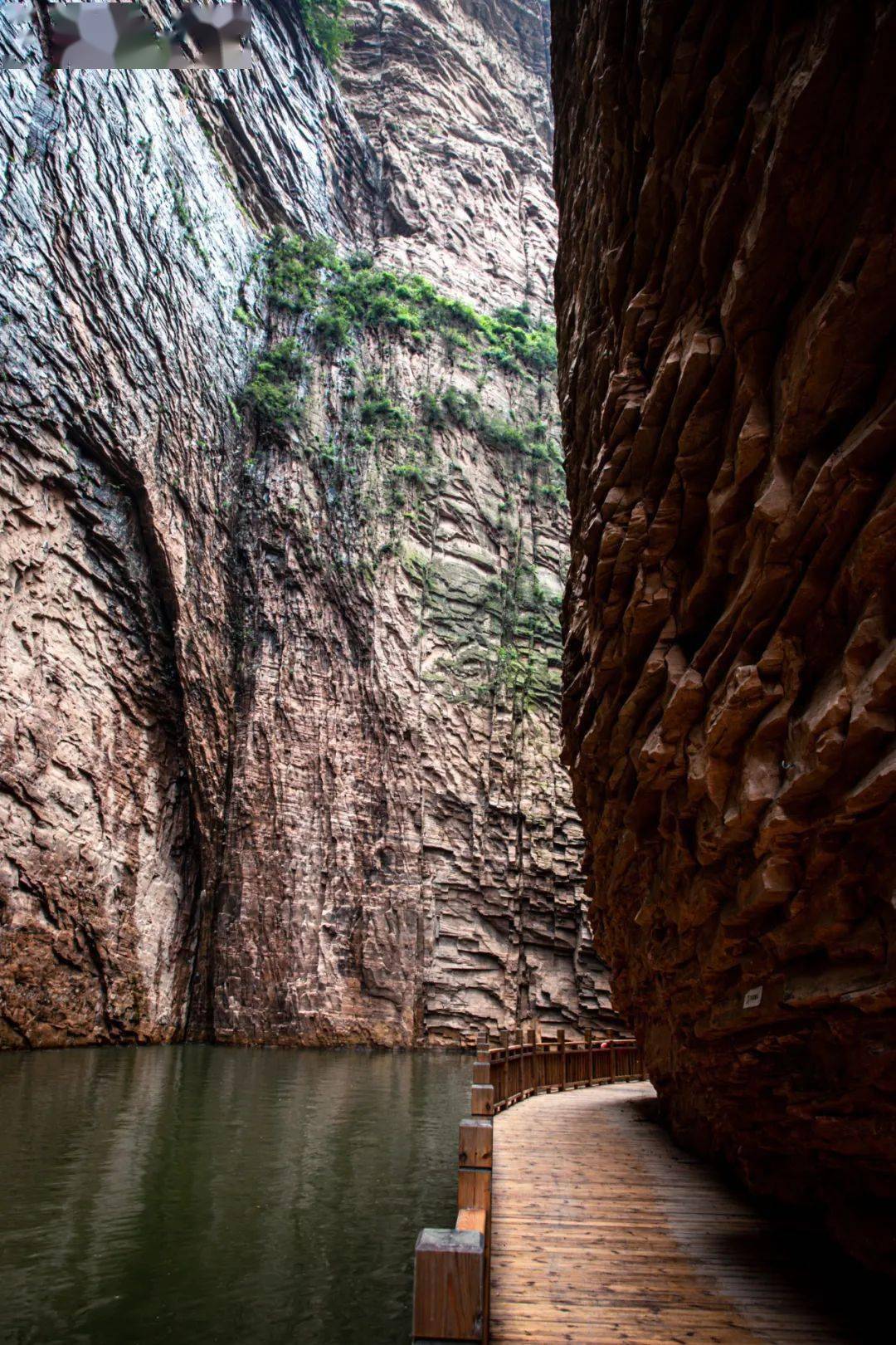 峡谷秘境黄崖洞一日游