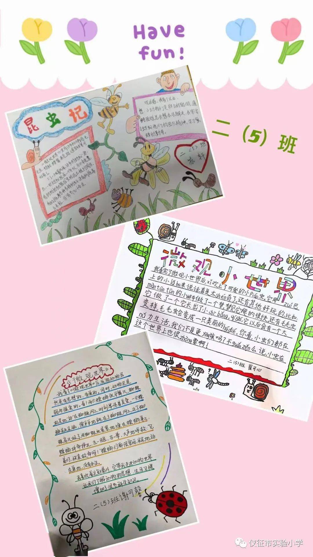 二年级小学生观影卡片图片