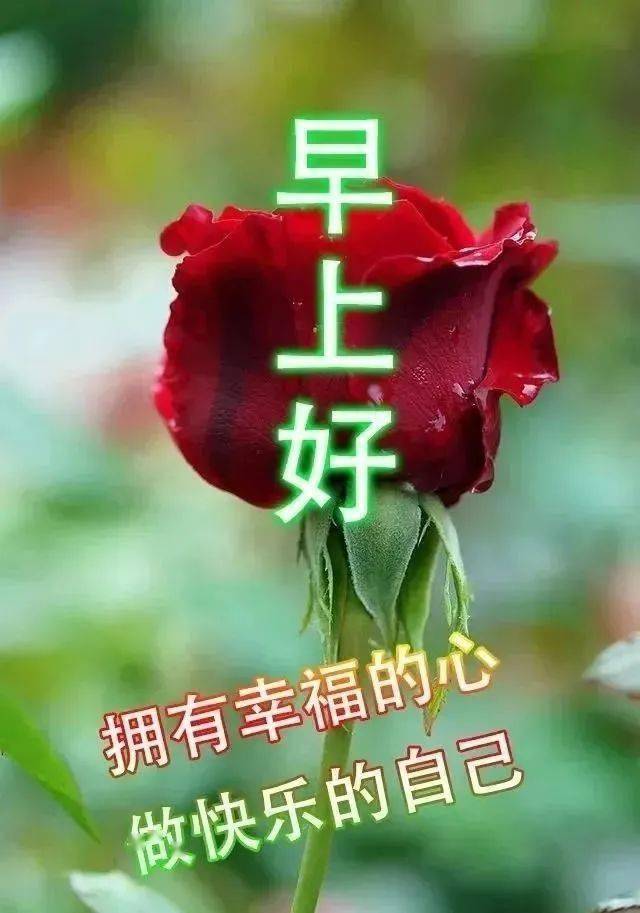 2021最新早上好图片带字表情包祝福祝大家天天好运平安健康幸福