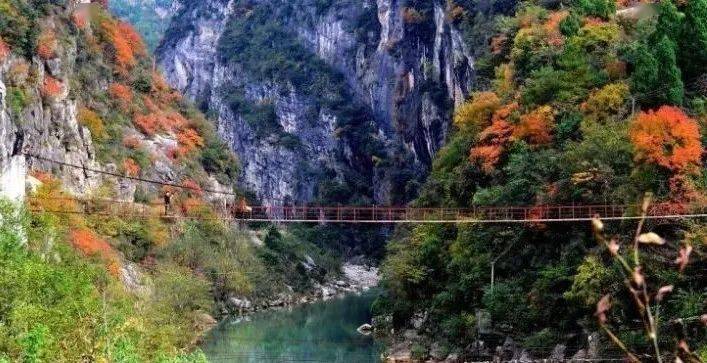 秋意浓,鱼洞河又美又飒,快来呀._广元市