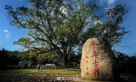 三都镇|走进乡村看小康 江西铜鼓东浒村：“五古”变资产 村民成股东