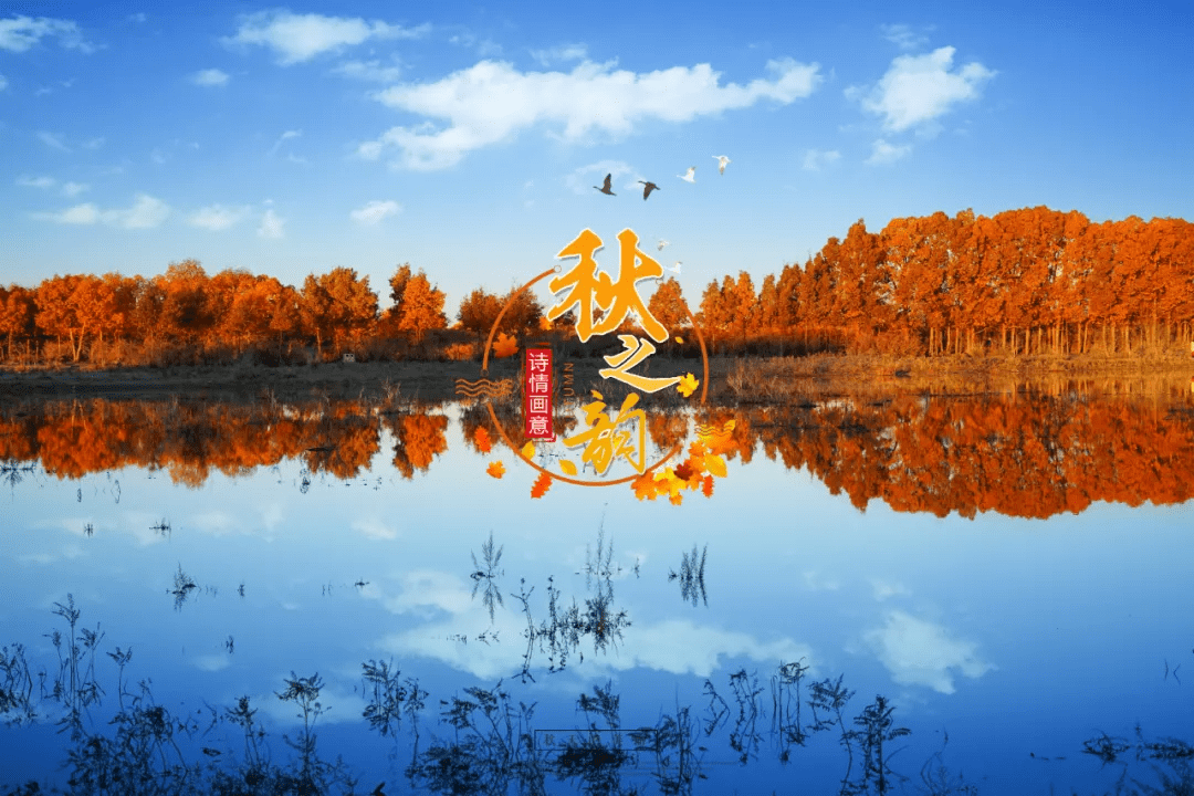 c82cfbd03f7a4805b480f112383ba5a9.png