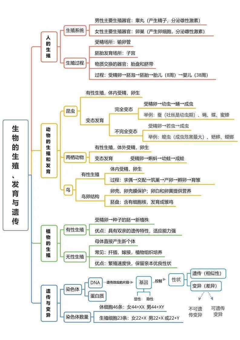 生物第七章思维导图图片