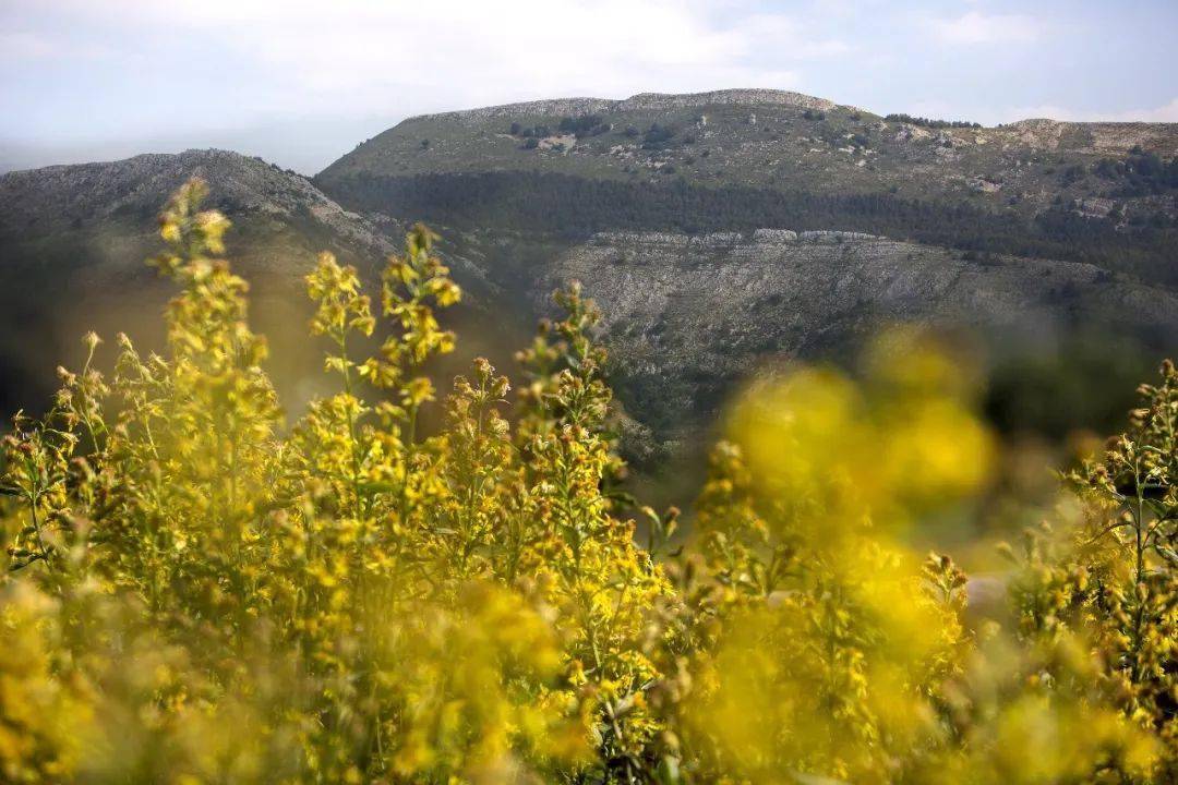 new|What's new | 请查收这份抗老新思路