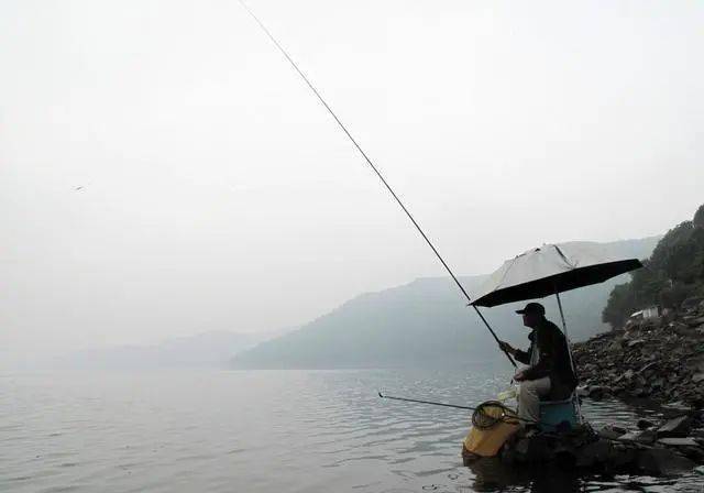 ea3071686b814ae28306ccab54a9b1a7.jpeg