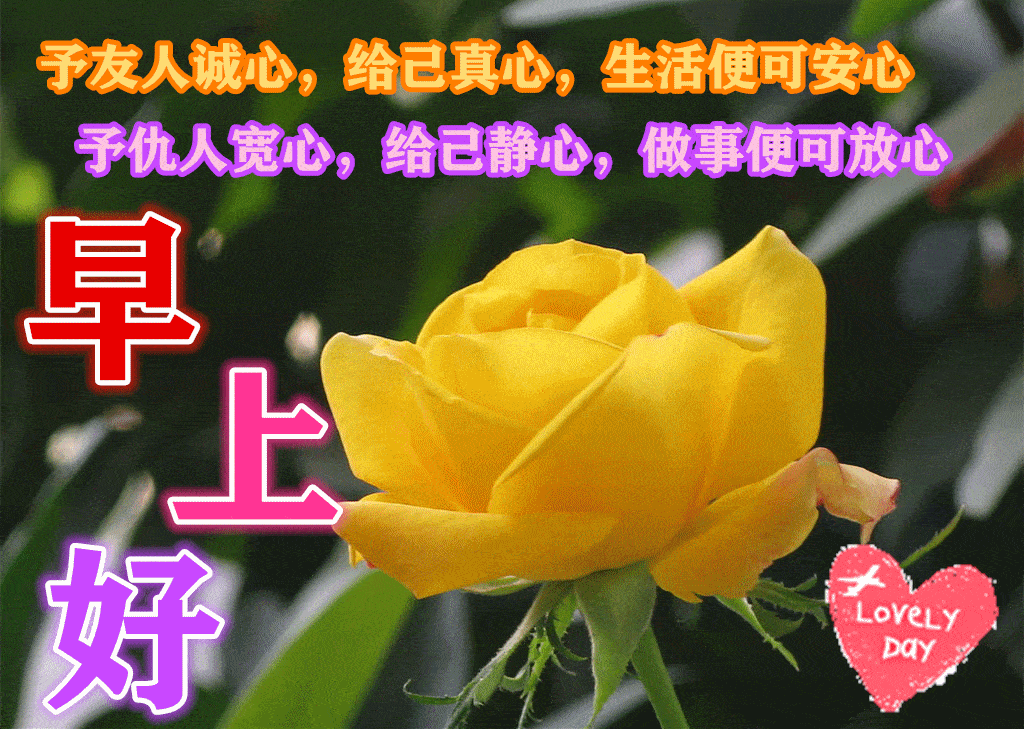 9月14日最漂亮早上好动态表情图片大全早上好动图美图大全