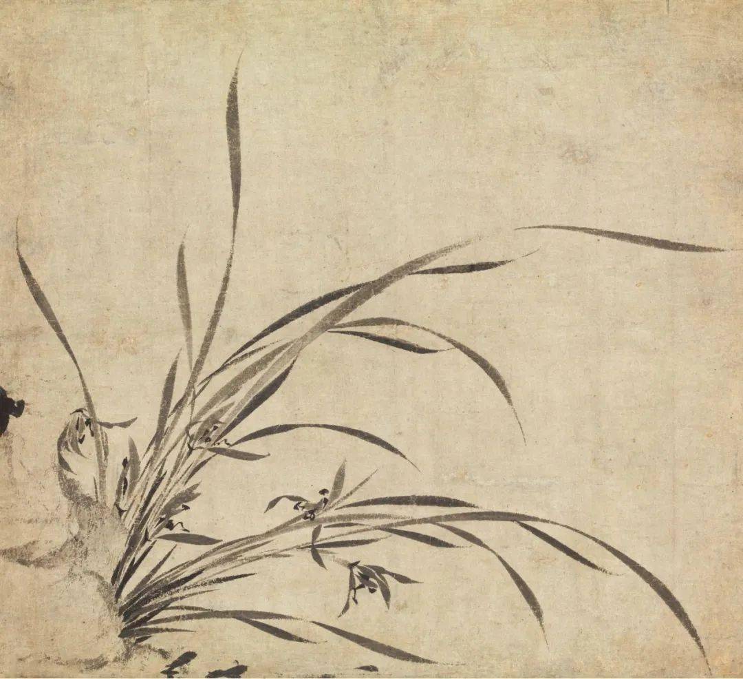 谦谦君子是兰花丨中国历代绘画百图