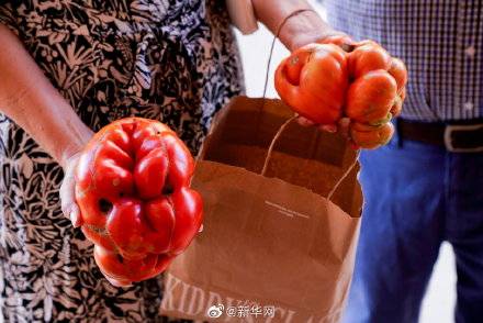 西班牙|西班牙举办最丑番茄奖