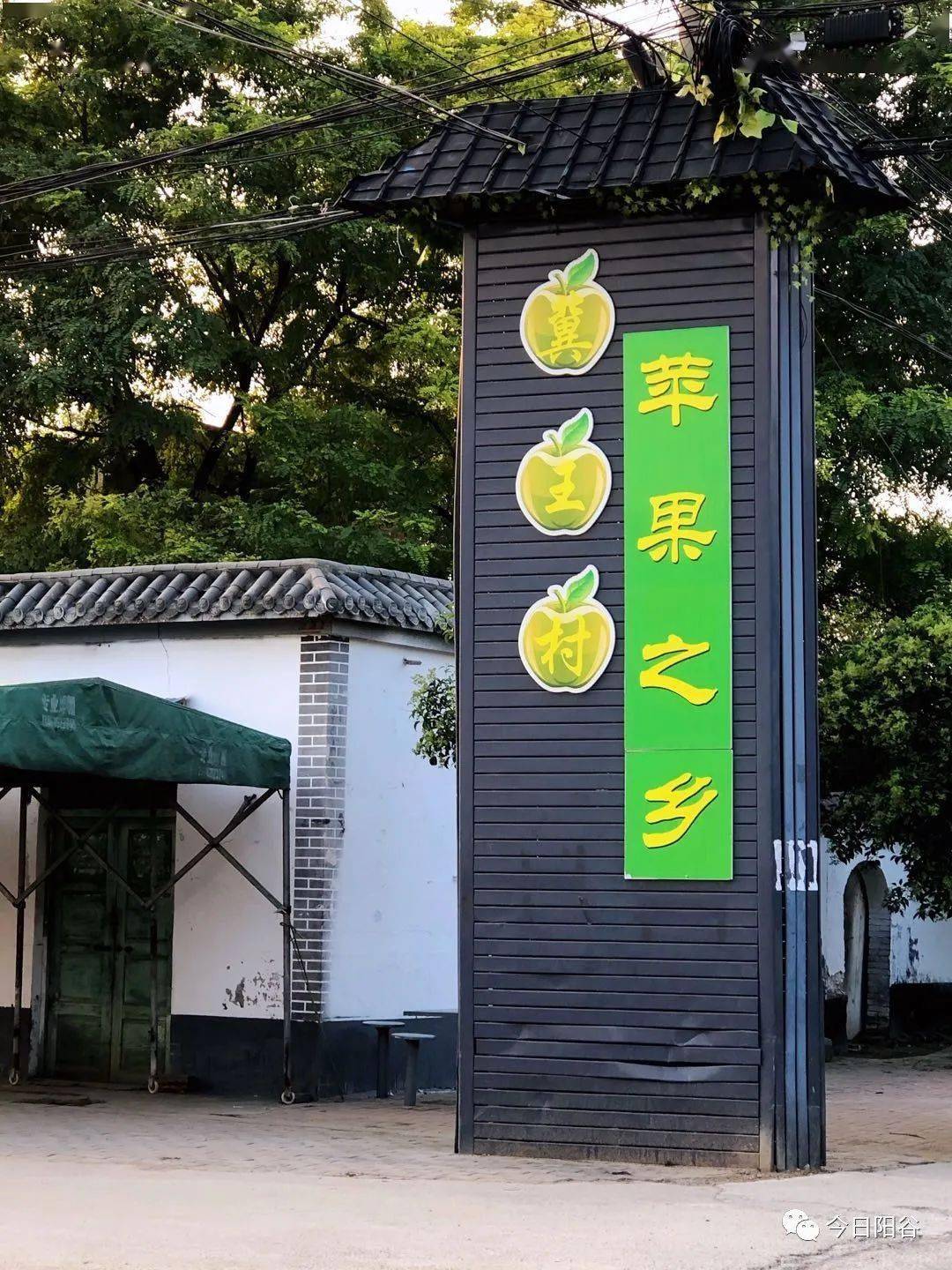 村支书变身云掌柜 阳谷寿张冀王