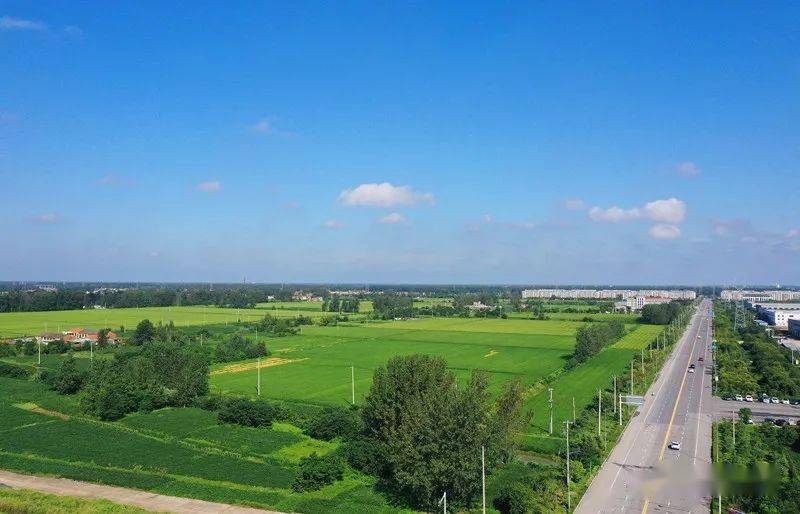 【航拍上冈】光华村,炎炎初秋,浓浓乡情_上冈镇