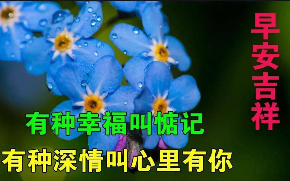 1c7950e05ef8488c9a959ebb330b1bdf.jpeg