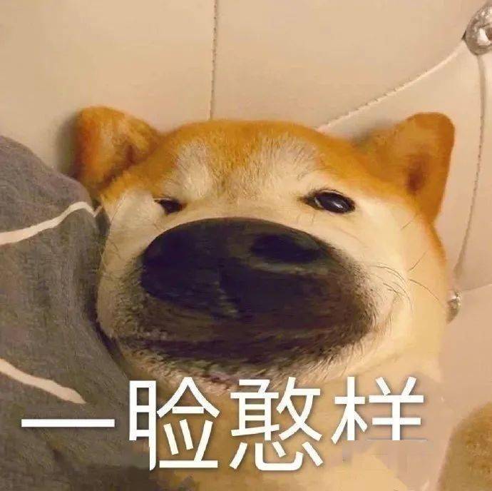21ab4a4e35c04e78b87d814593deacf5.jpeg