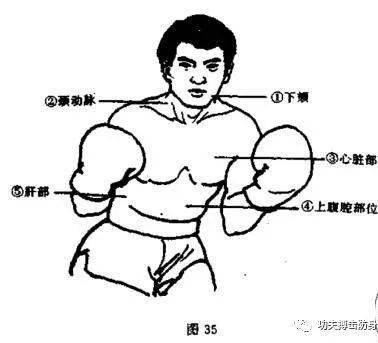 拳击防守技术动作阻挡防守和主要部位图解教学