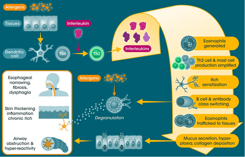 免疫|痒，挠，痒。。。要想搞定折磨全球数亿人的特应性皮炎，需要从单点突破到直指核心丨奇点深度