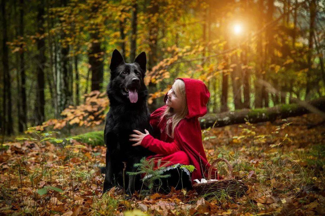 white|获奖公布 | 2021年德国CEWE摄影奖（建筑与构成组）获奖作品名单