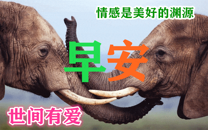 早上好动态表情图片大全早晨好动图美图大全