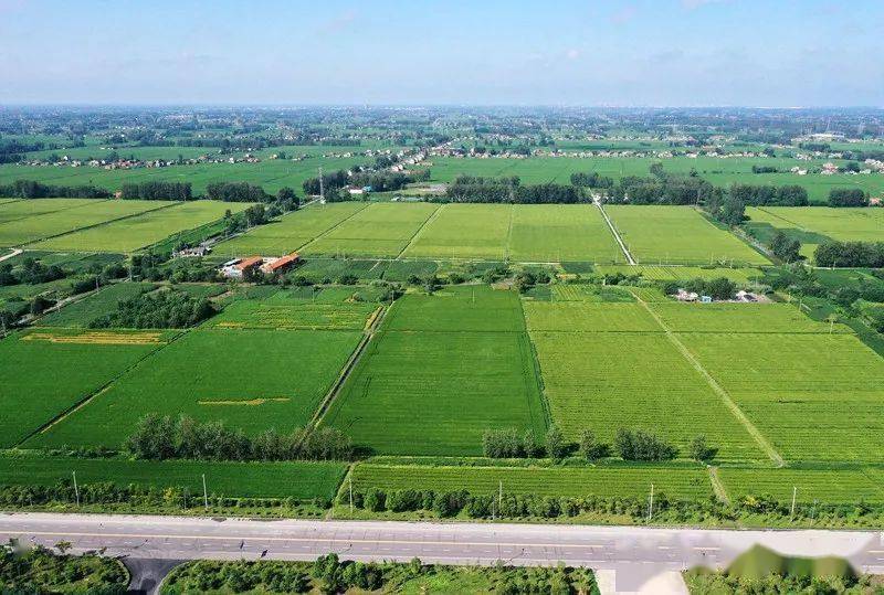 【航拍上冈】光华村,炎炎初秋,浓浓乡情_上冈镇