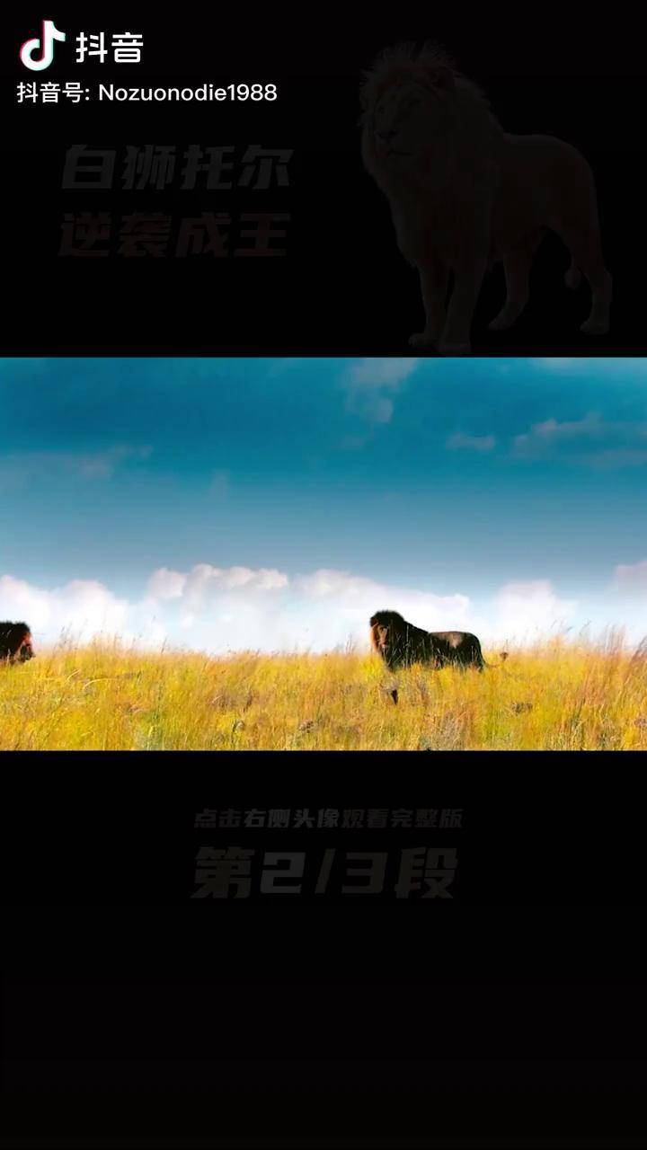 弱小白狮逆袭成王纪录片狮子动物世界白狮