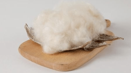 分享 | 对于木棉纤维,你了解多少?