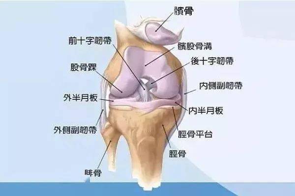 这个方法拯救你的膝盖!