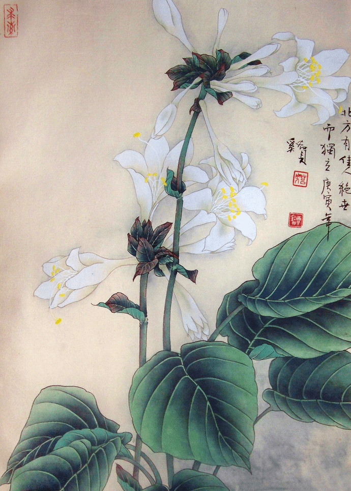 洁白的玉簪花,没有夺目的颜色,浓郁的芬芳,并不十分令人惊艳,却楚楚生