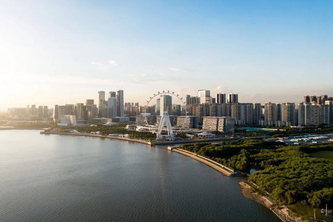 披荆斩棘的大湾区,为什么这座城最让人难忘?