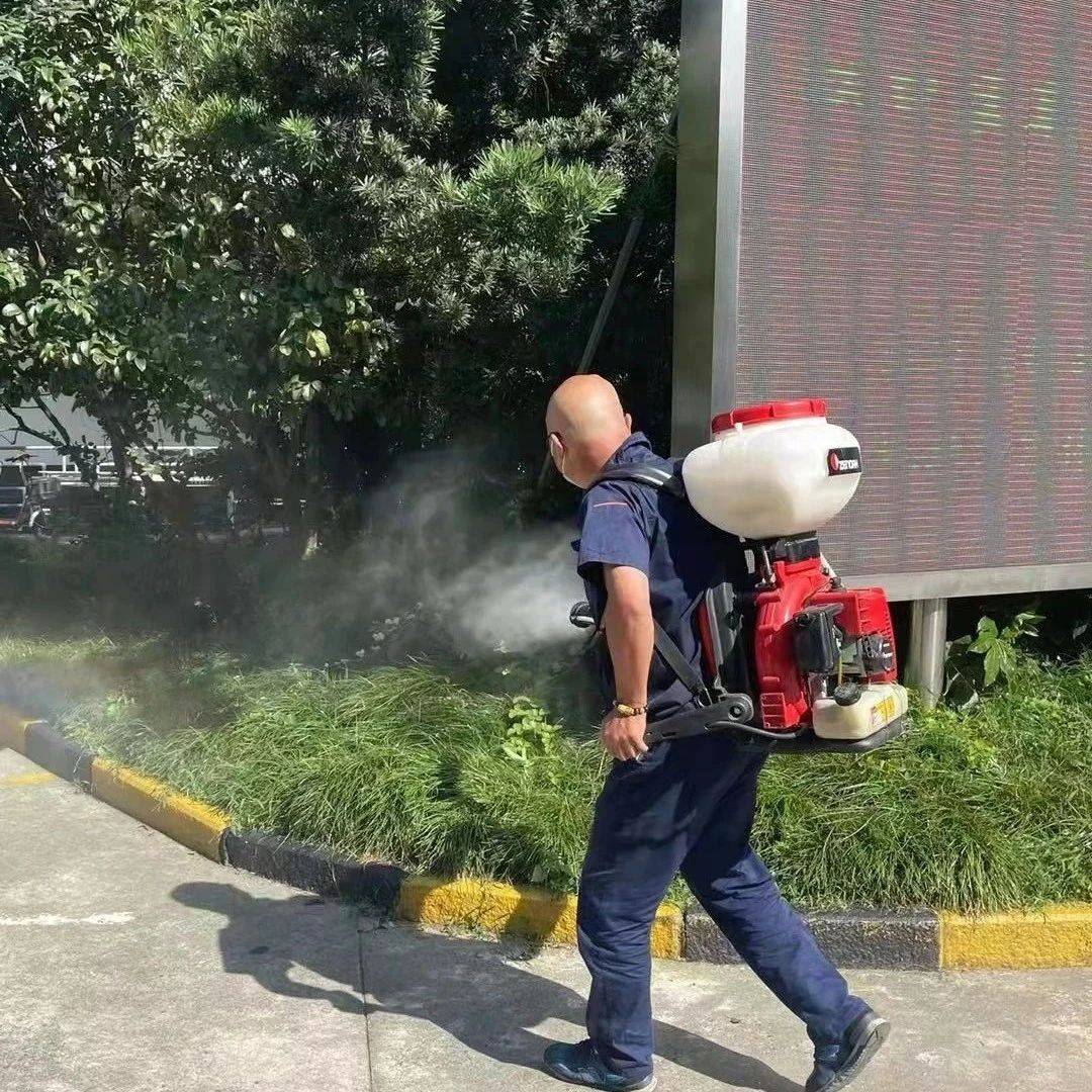 消杀工作做得好，四大害虫没得跑_防控