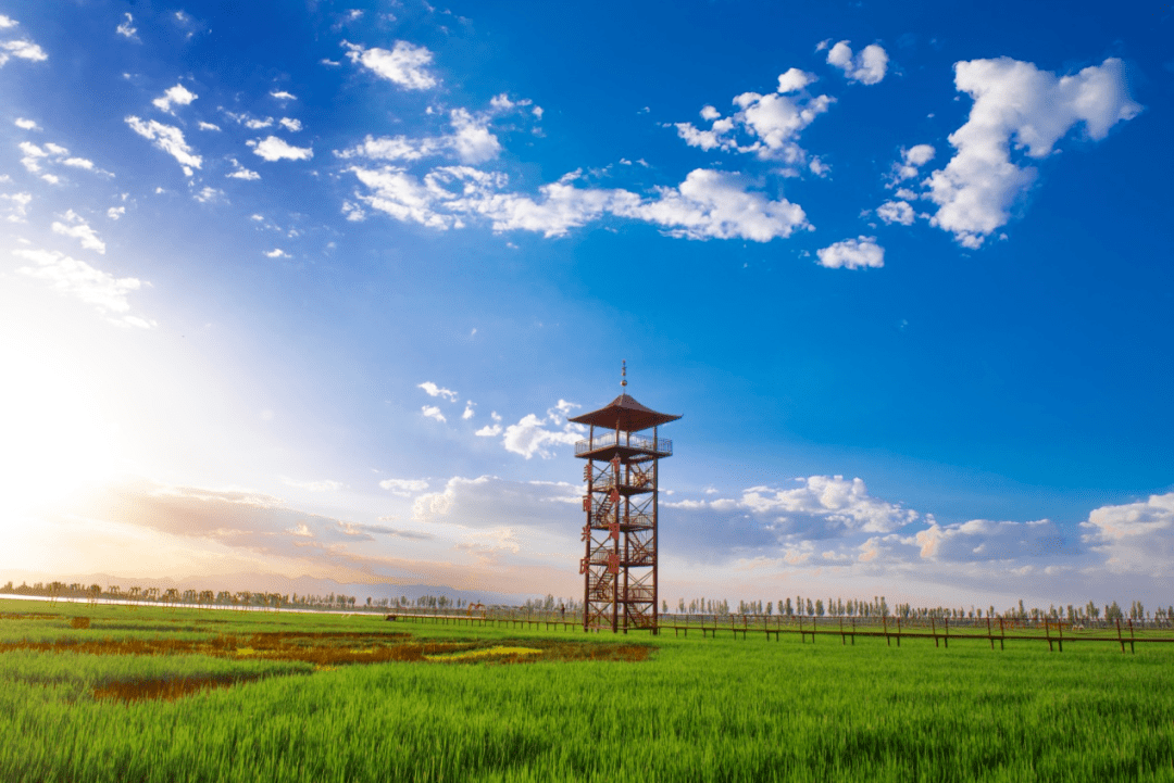 乡约兴庆为你而来一起去村游啦